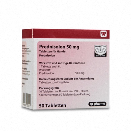 Prednisolon Bestellen Generika günstig